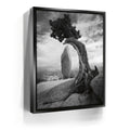 Featured image 5 for Penguin Rock
