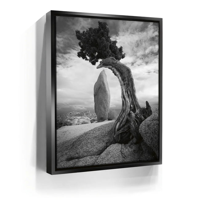 Featured image 5 for Penguin Rock