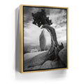 Featured image 7 for Penguin Rock