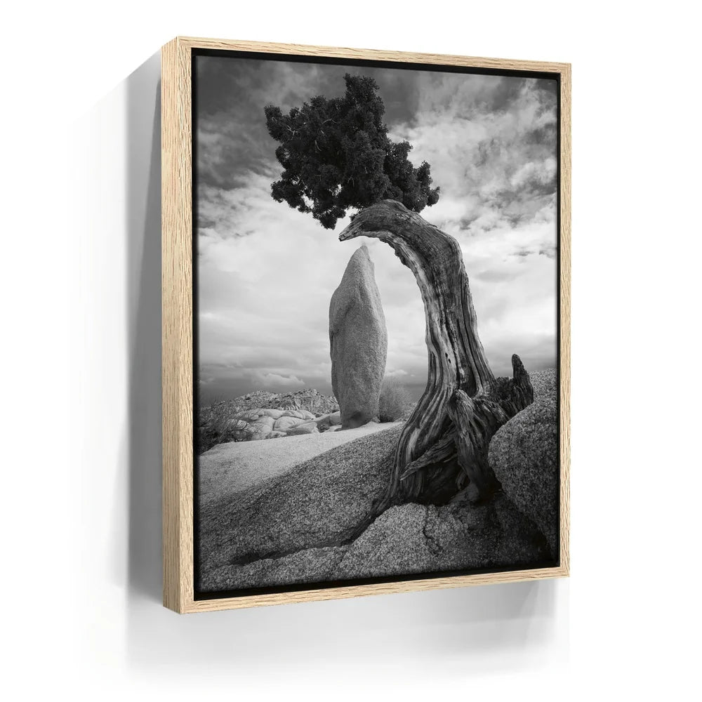 Featured image 9 for Penguin Rock