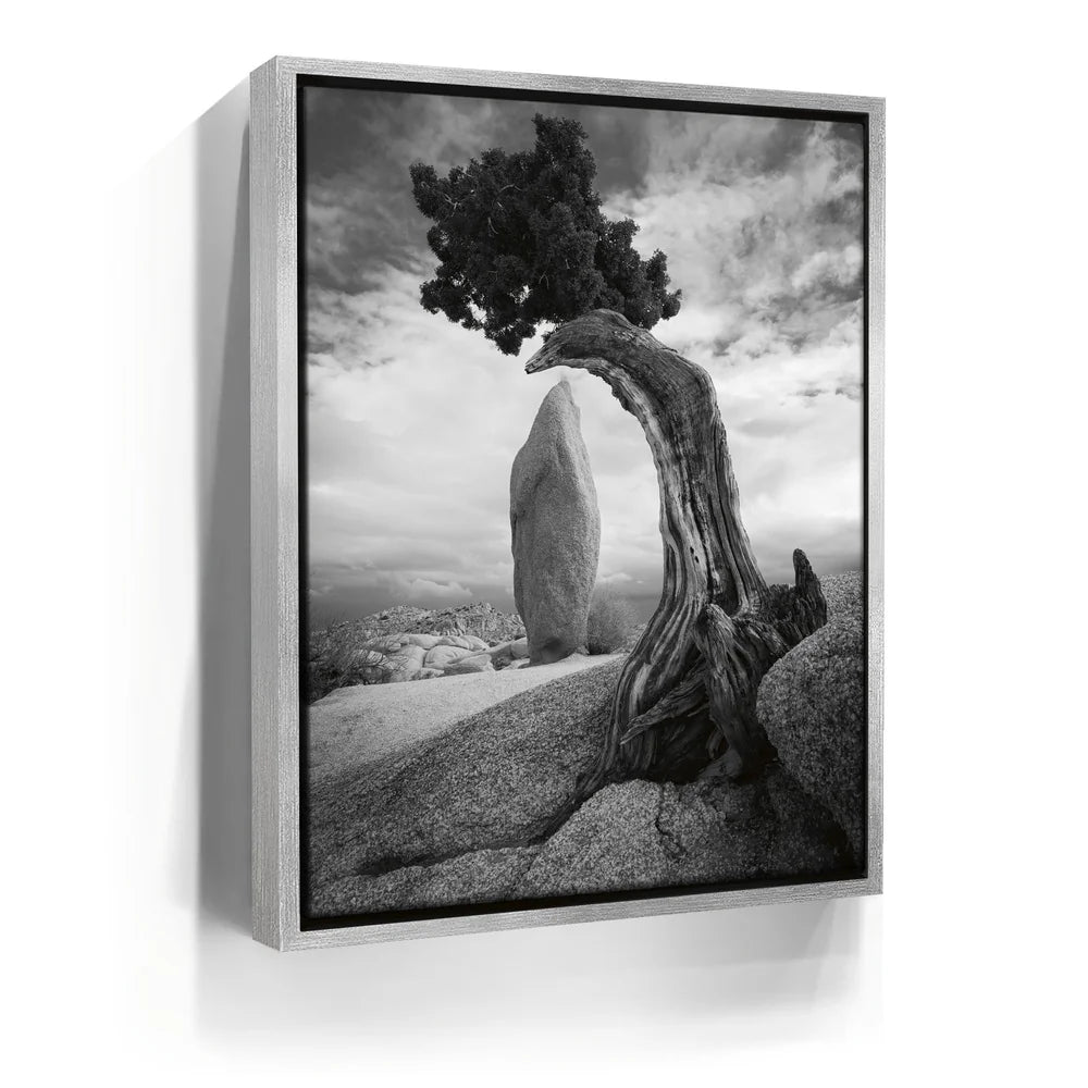 Featured image 8 for Penguin Rock