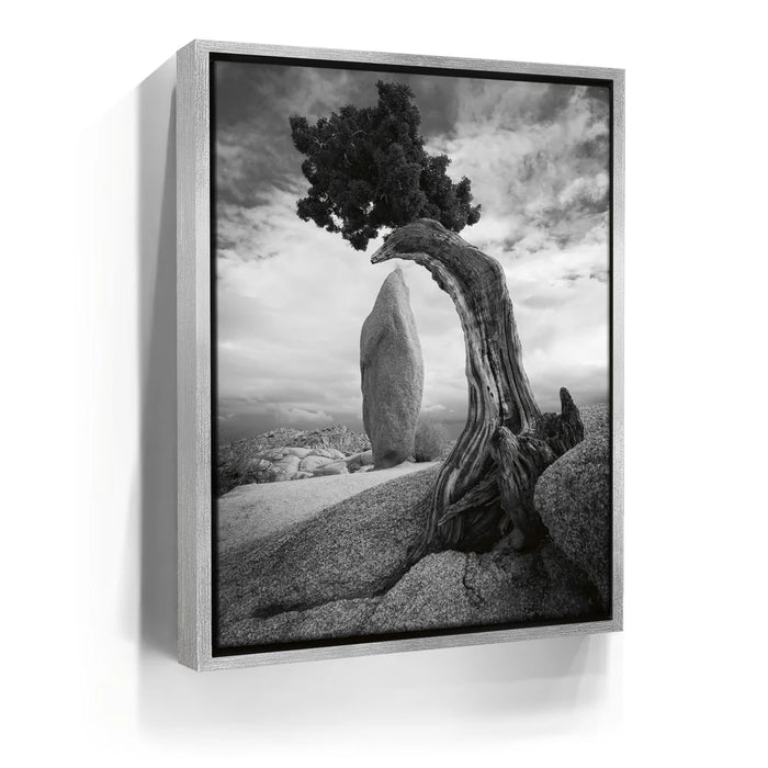 Featured image 8 for Penguin Rock