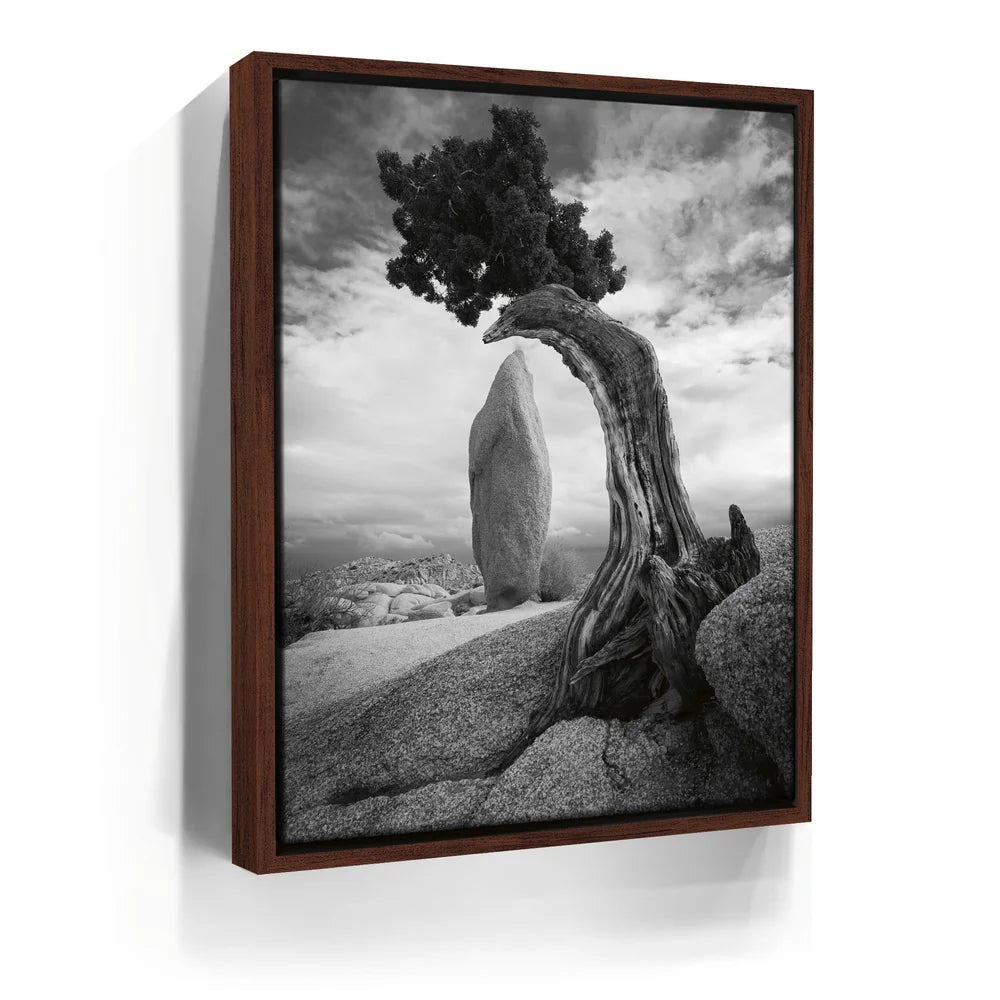 Featured image 10 for Penguin Rock