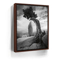 Featured image 10 for Penguin Rock