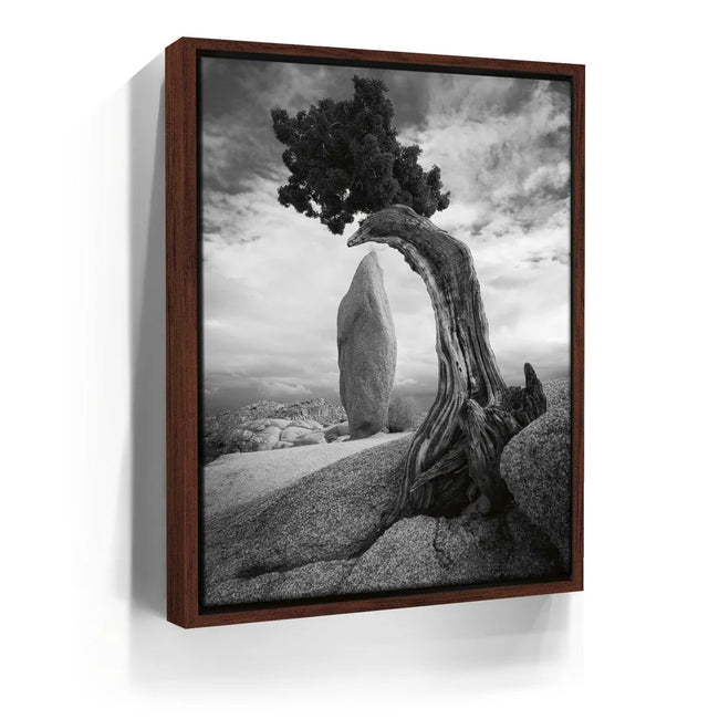 Featured image 10 for Penguin Rock