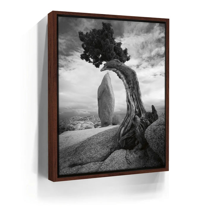 Featured image 10 for Penguin Rock