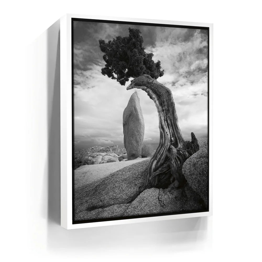 Featured image 6 for Penguin Rock