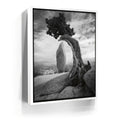 Featured image 6 for Penguin Rock