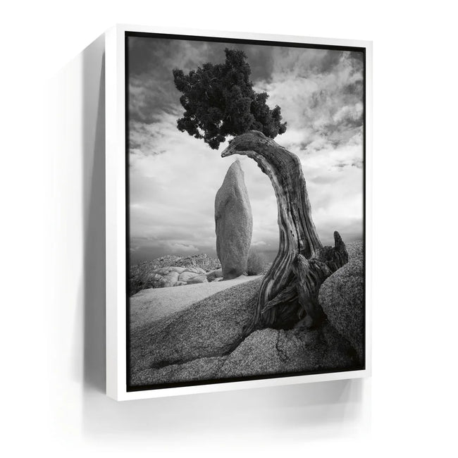 Featured image 6 for Penguin Rock