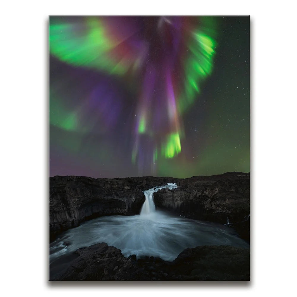 Featured image 1 for Phoenix