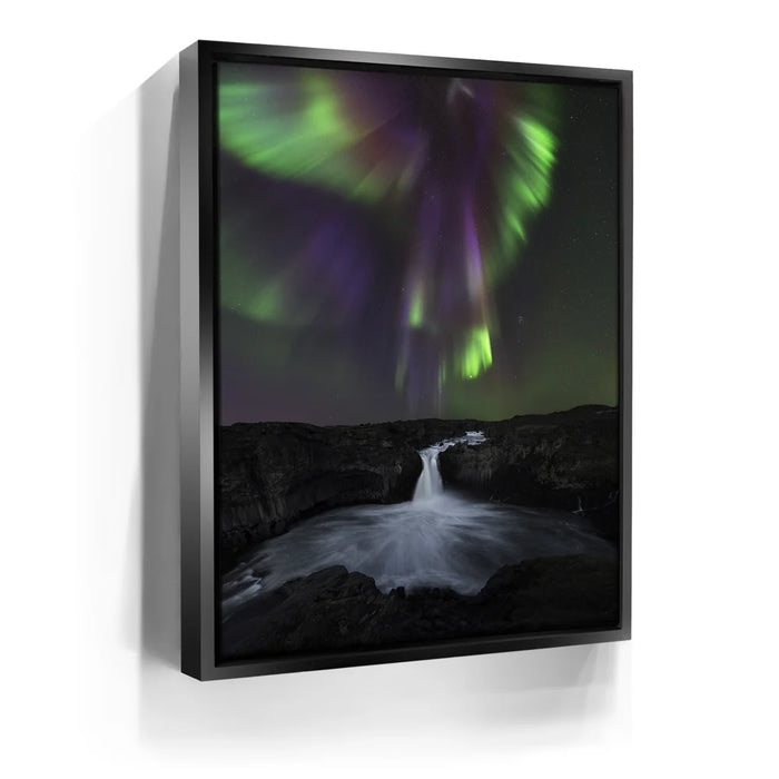 Featured image 5 for Phoenix