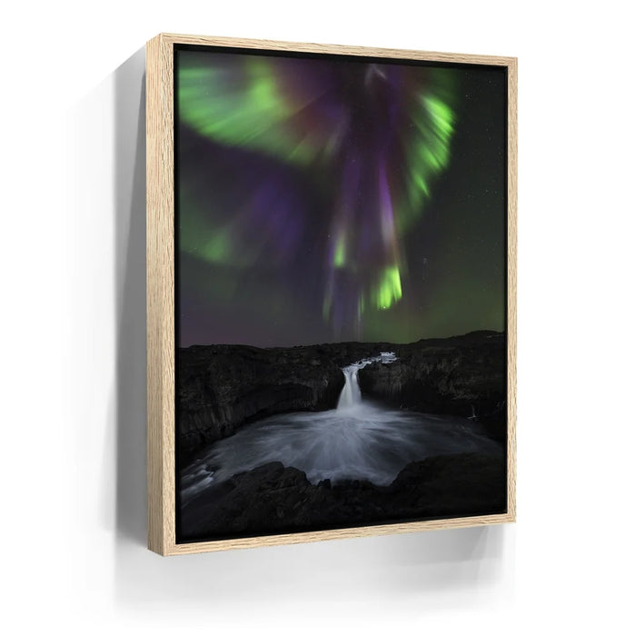 Featured image 9 for Phoenix