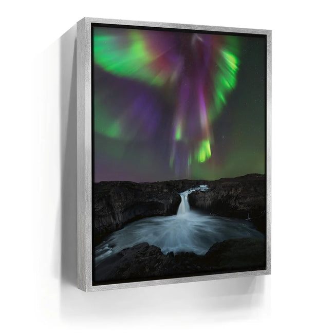Featured image 8 for Phoenix