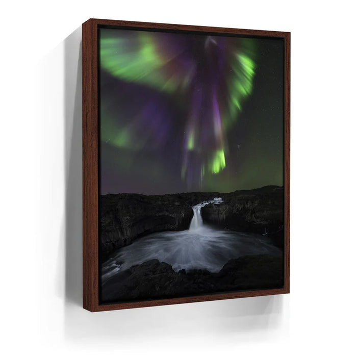 Featured image 10 for Phoenix