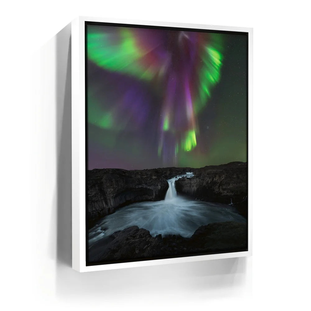 Featured image 6 for Phoenix