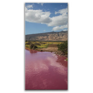 Pink Pond I - Maui, Kealia Pond