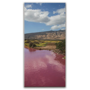Pink Pond I - Maui, Kealia Pond