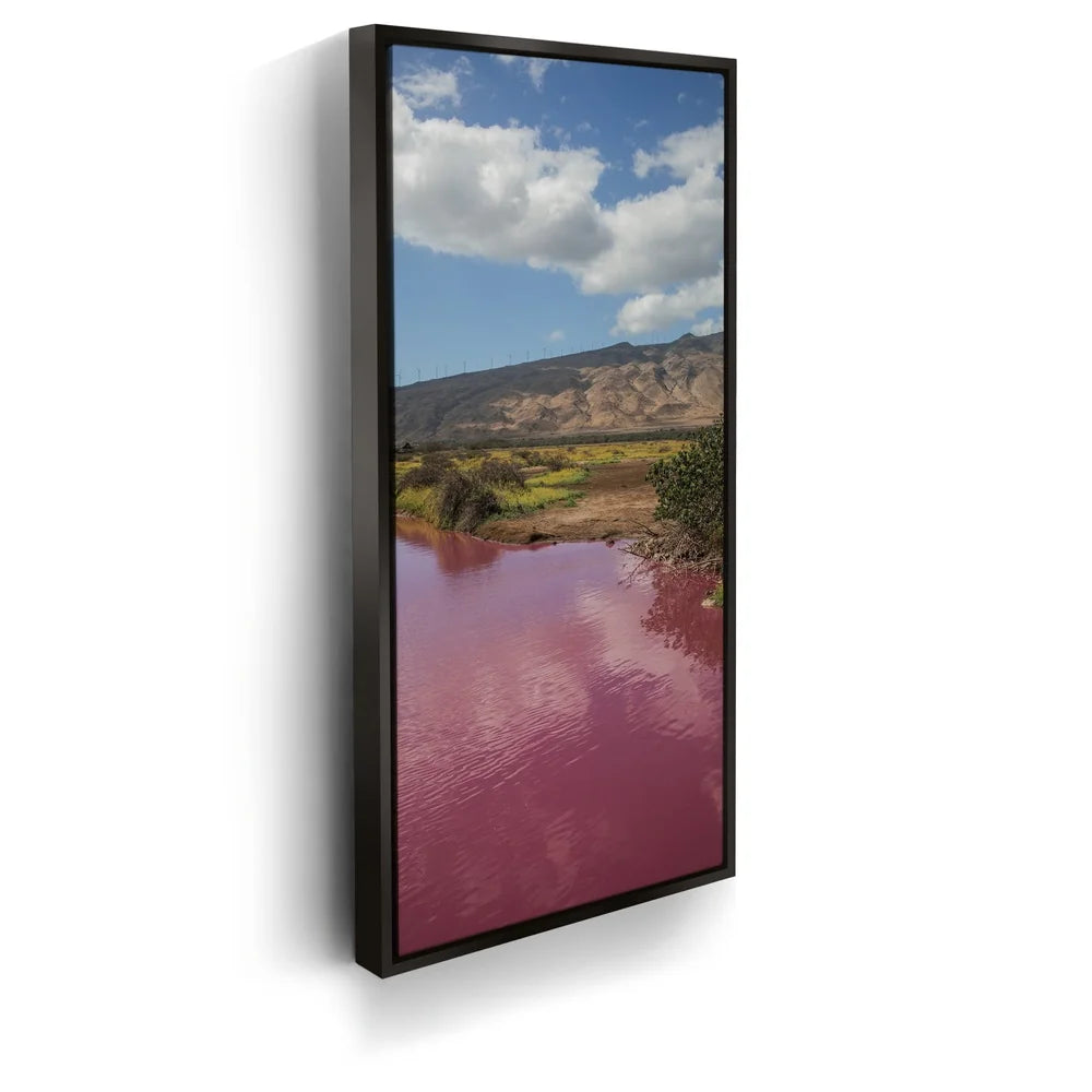 Featured image 5 for Pink Pond I - Maui, Kealia Pond