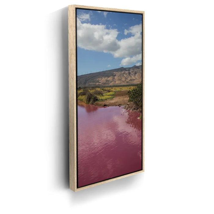 Featured image 9 for Pink Pond I - Maui, Kealia Pond