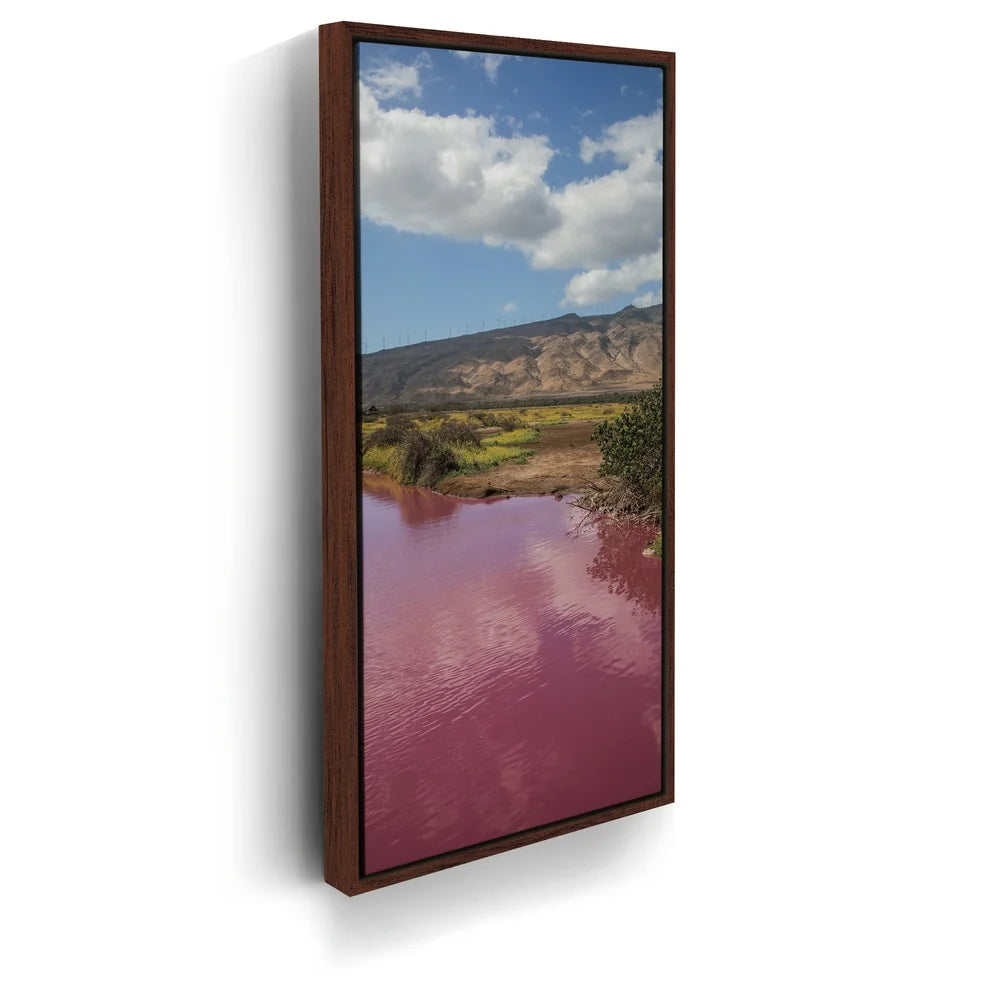 Featured image 10 for Pink Pond I - Maui, Kealia Pond