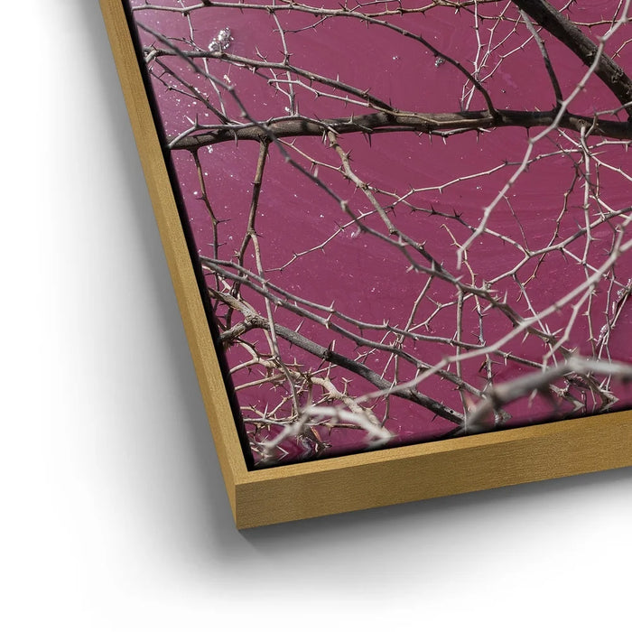 Featured image 12 for Pink Pond II - Maui, Kealia Pond