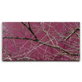 Featured image 1 for Pink Pond II - Maui, Kealia Pond