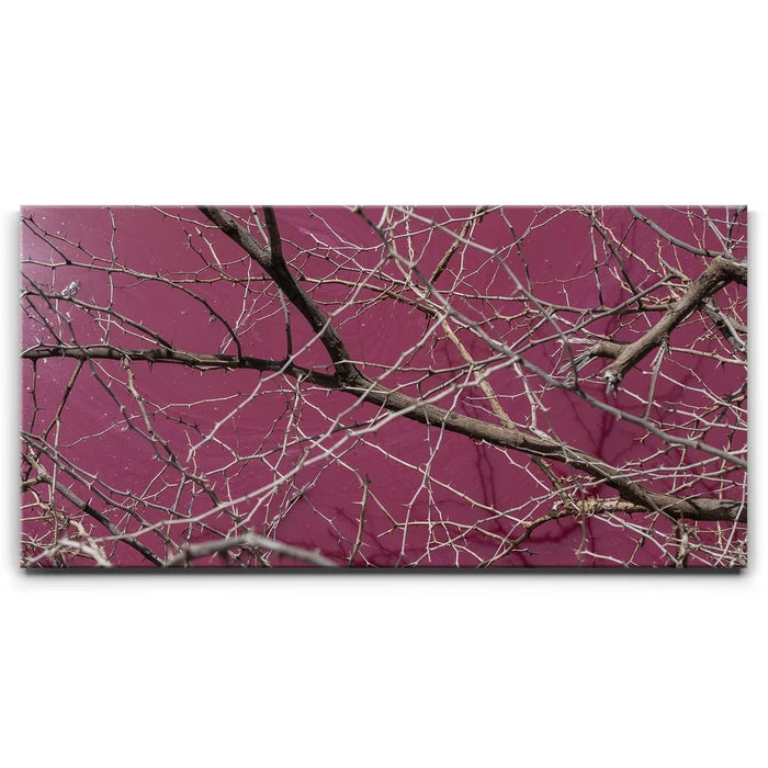 Featured image 1 for Pink Pond II - Maui, Kealia Pond