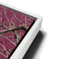 Thumbnail image 13 for Pink Pond II - Maui, Kealia Pond