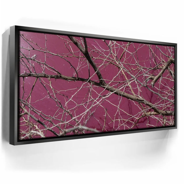 Featured image 5 for Pink Pond II - Maui, Kealia Pond