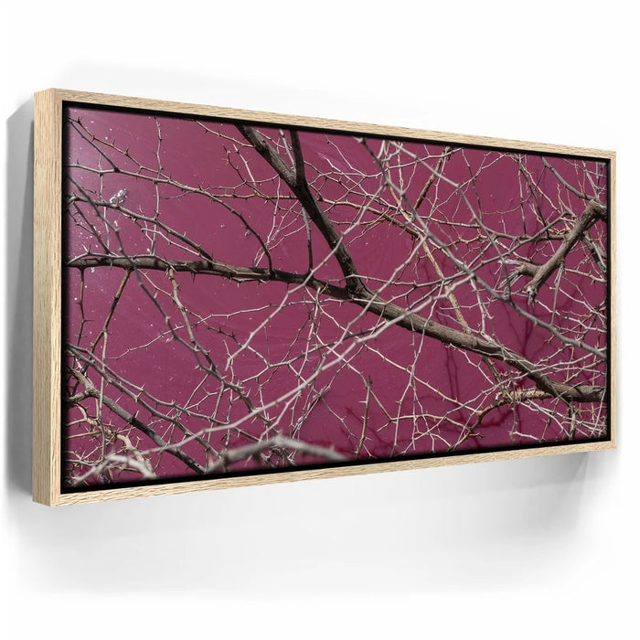 Featured image 9 for Pink Pond II - Maui, Kealia Pond