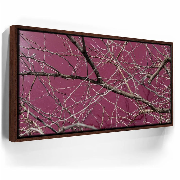 Featured image 10 for Pink Pond II - Maui, Kealia Pond