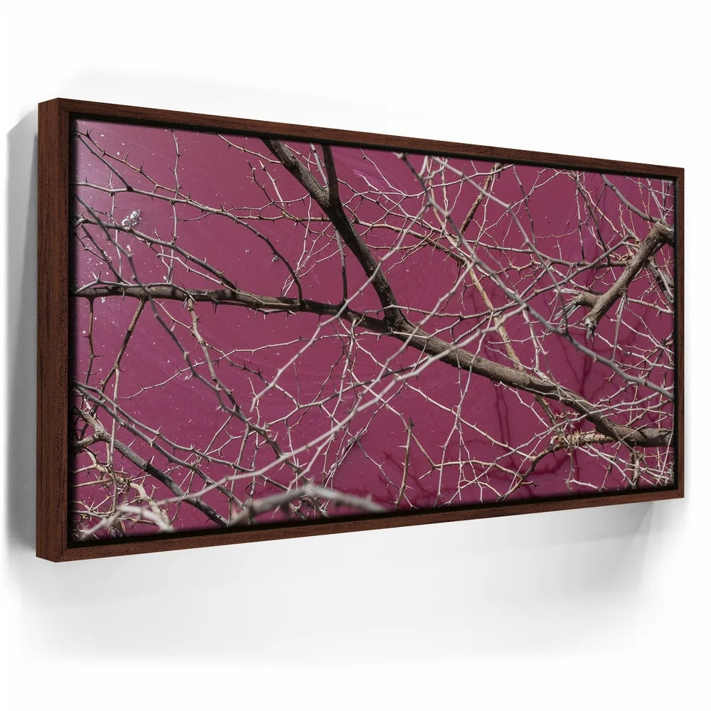 Featured image 10 for Pink Pond II - Maui, Kealia Pond