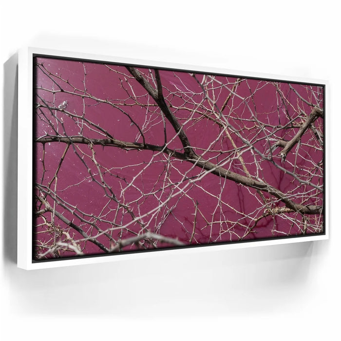 Featured image 6 for Pink Pond II - Maui, Kealia Pond