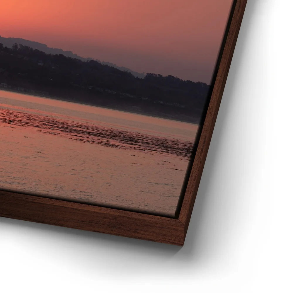 Featured image 14 for Pink Sunrise, California