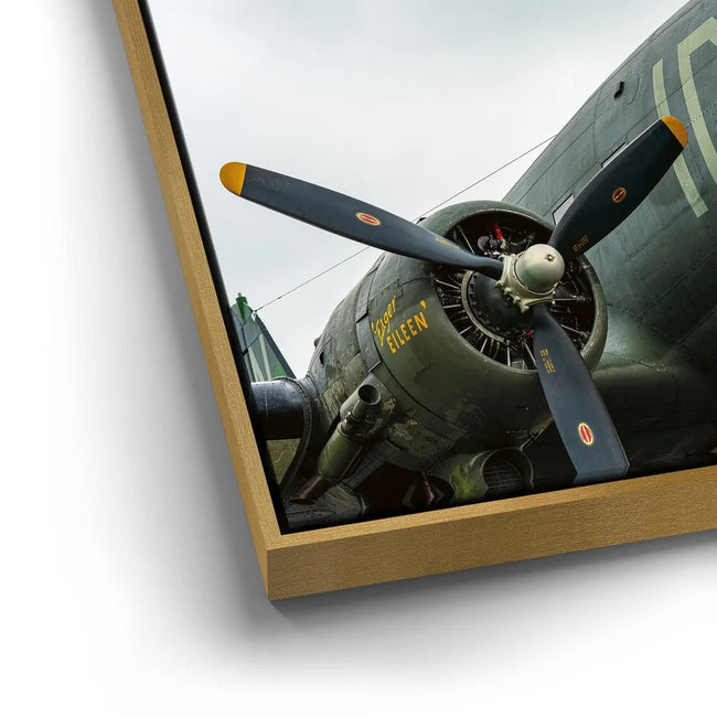 Featured image 12 for Placid Lassie C-47