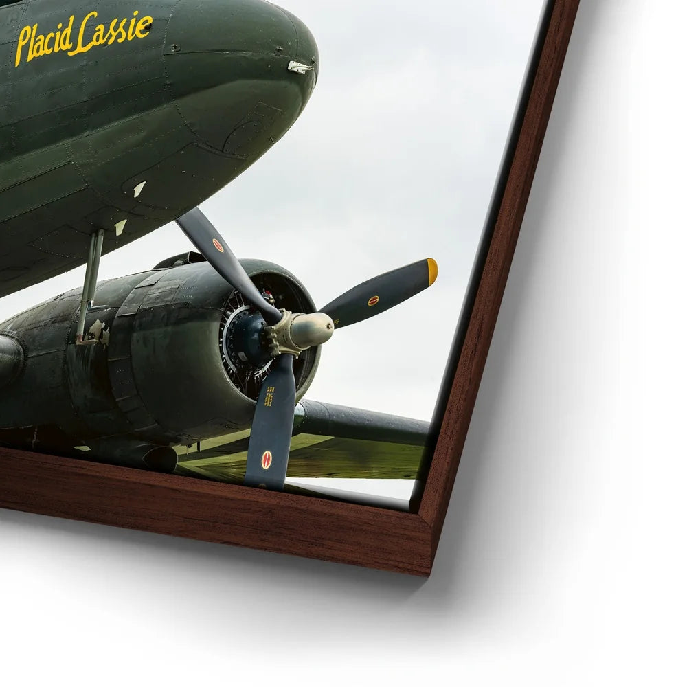 Featured image 14 for Placid Lassie C-47