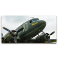 Featured image 1 for Placid Lassie C-47