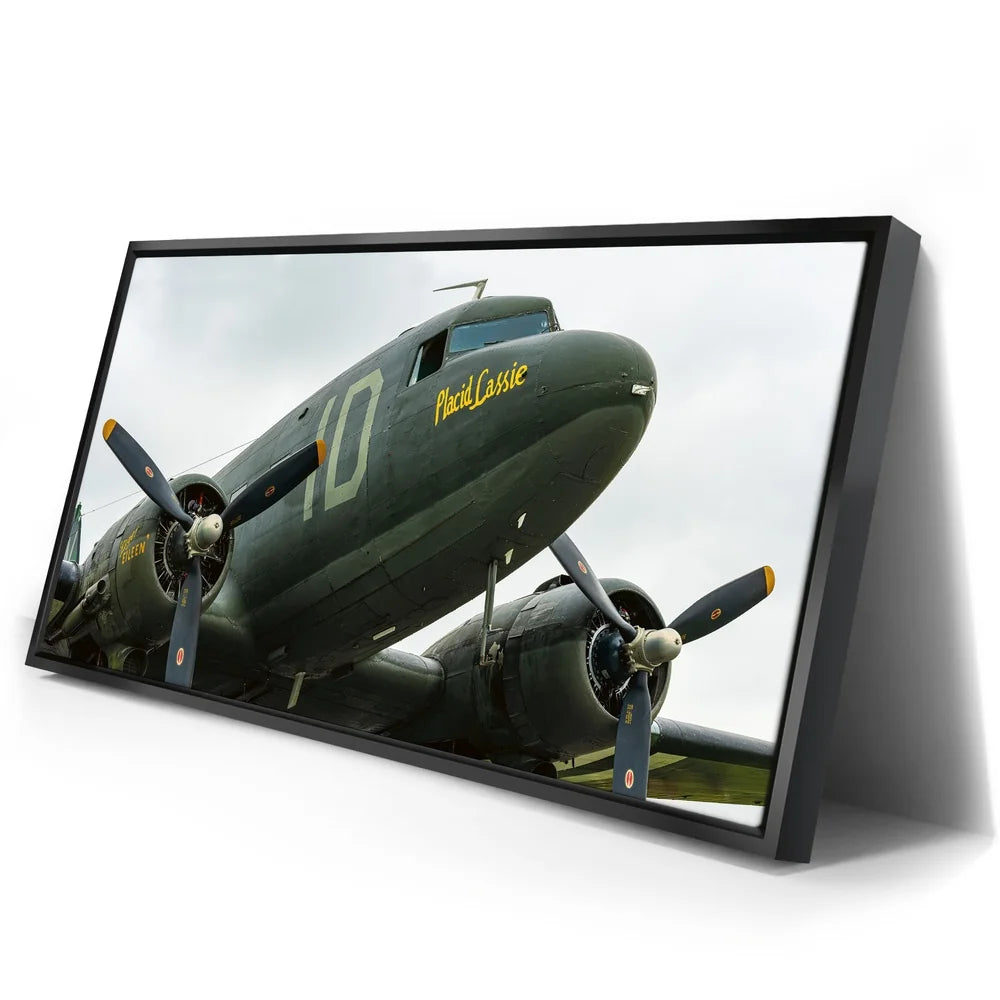 Featured image 2 for Placid Lassie C-47