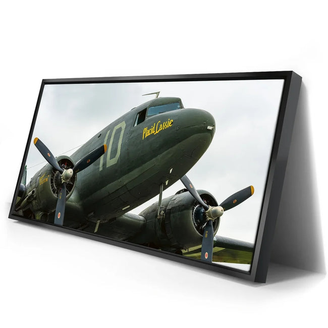 Featured image 2 for Placid Lassie C-47