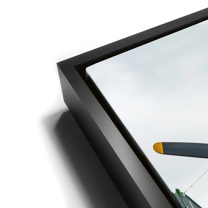 Featured image 11 for Placid Lassie C-47