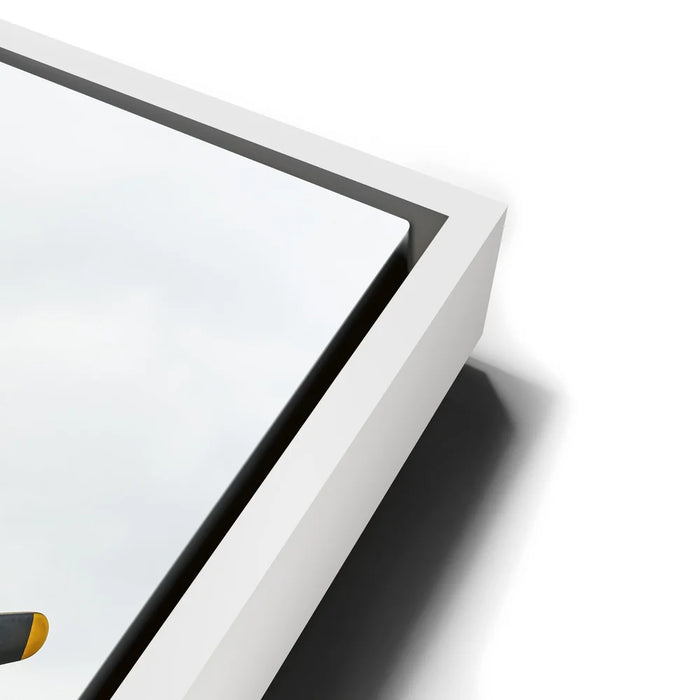 Featured image 13 for Placid Lassie C-47