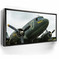 Featured image 5 for Placid Lassie C-47
