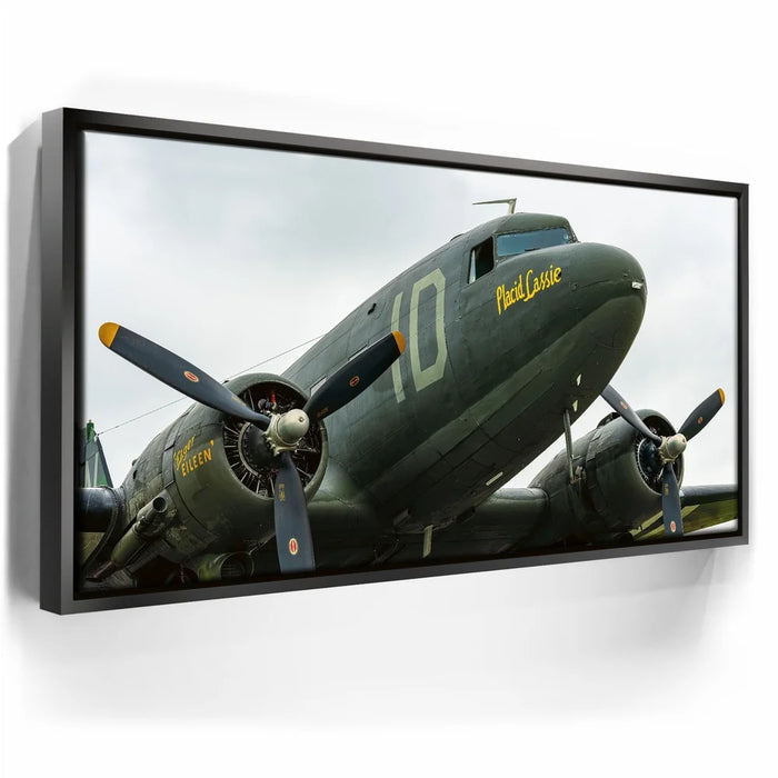 Featured image 5 for Placid Lassie C-47