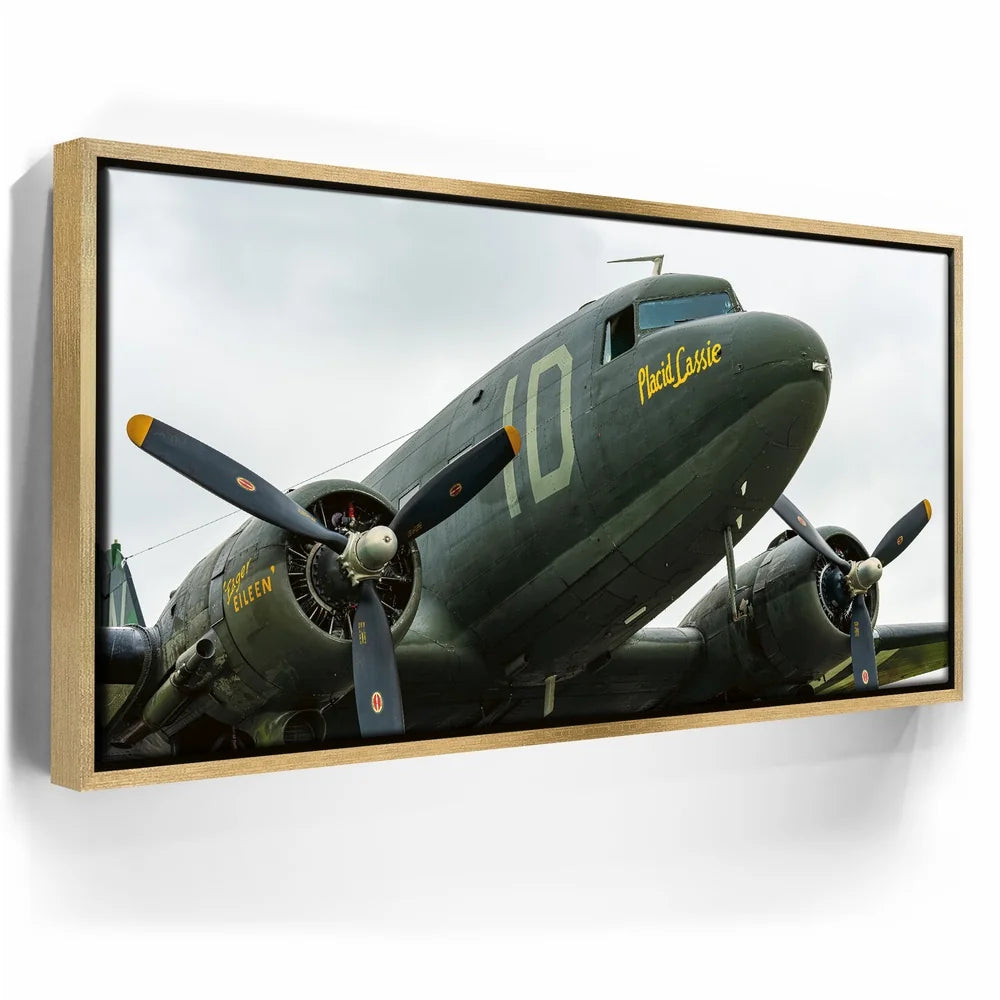 Featured image 7 for Placid Lassie C-47