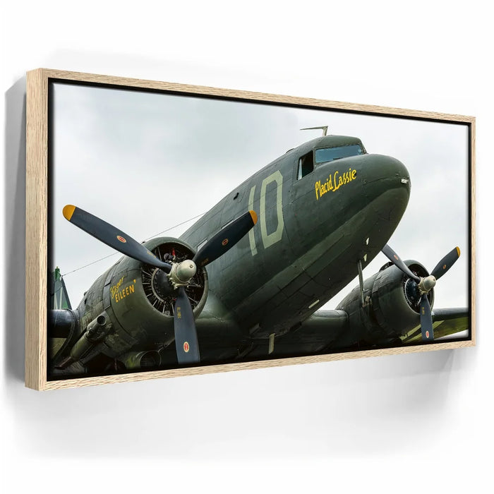 Featured image 9 for Placid Lassie C-47