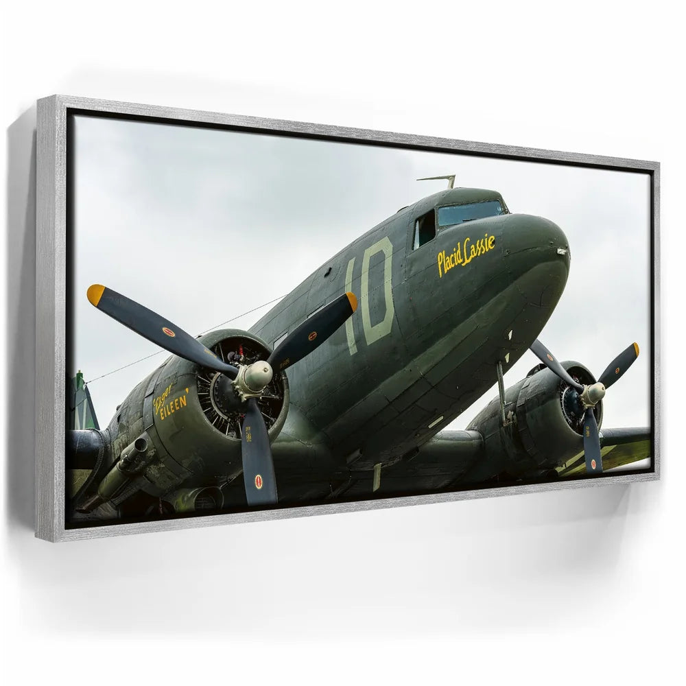 Featured image 8 for Placid Lassie C-47