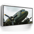 Featured image 8 for Placid Lassie C-47