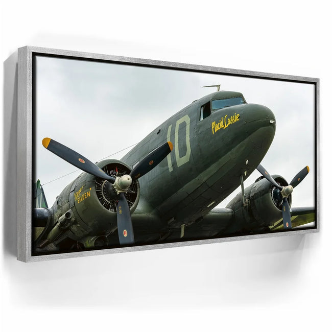 Featured image 8 for Placid Lassie C-47