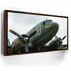 Featured image 10 for Placid Lassie C-47