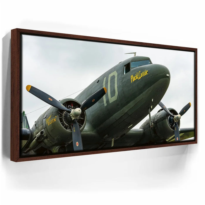 Featured image 10 for Placid Lassie C-47